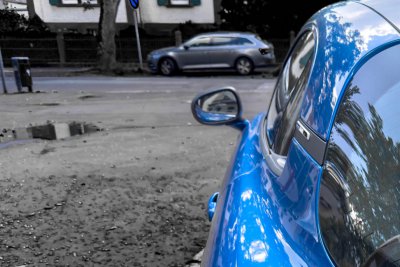 Blaue Flunder