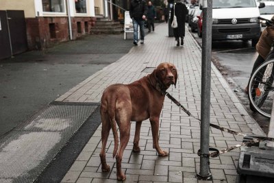 Street Photography Fuji XT-5