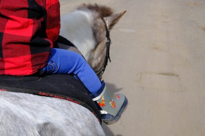 Früh übt sich, wer ein Meister werden will.