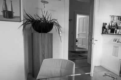 Open Door