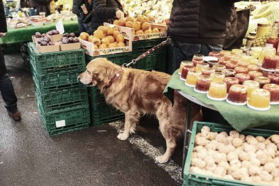 Street Photography Fuji XT-5