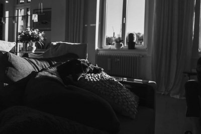 Foto des Tages